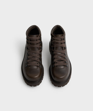Cinnabar Brown