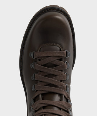 Cinnabar Brown